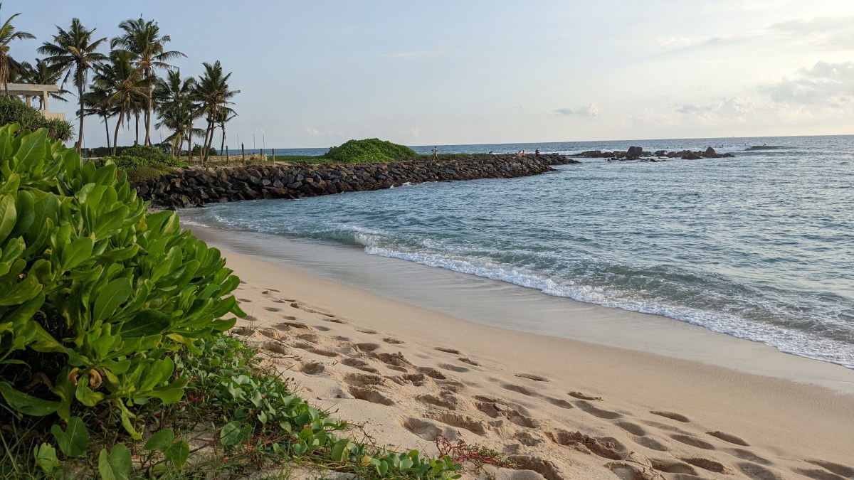 Eine holprige Fahrt zum&nbsp;Strand